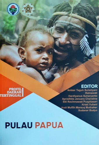 Profil dan Potensi Daerah Tertinggal Pulau Papua, Tahun 2019.